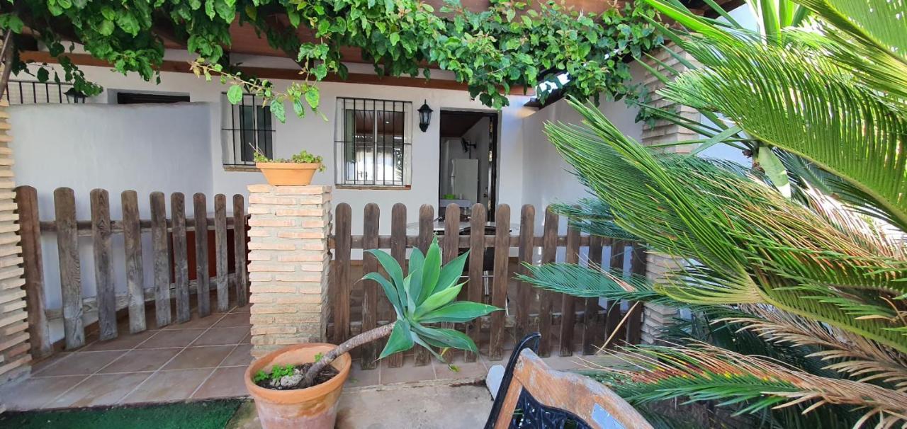 Estudios Con Piscina Compartida En Conil. * Cadiz